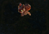 League Of Legends Tournaments Have Returned on Repeat.gg League of Legends
